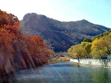 新澳天天开奖资料大全旅游团，女尸图片